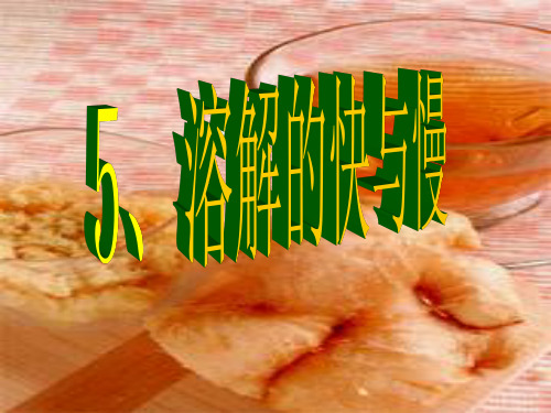 四年级上册科学课件-2.5 溶解的快与慢 ｜教科版 (共15张PPT)