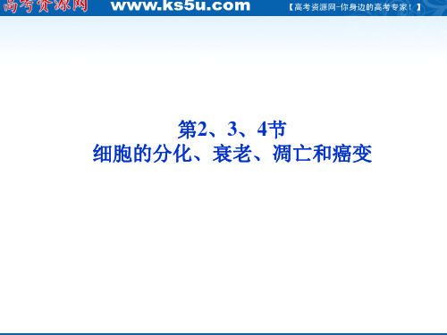 优化方案高三生物一轮复习课件：必修1第6章第34节细胞的分化衰老凋亡和癌变