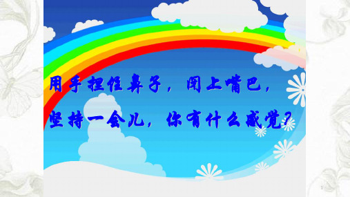 呵护呼吸系统健康ppt课件