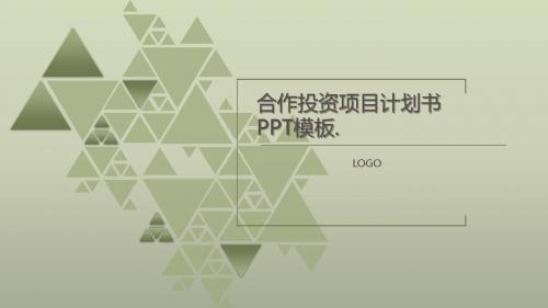 合作投资项目计划书PPT模板
