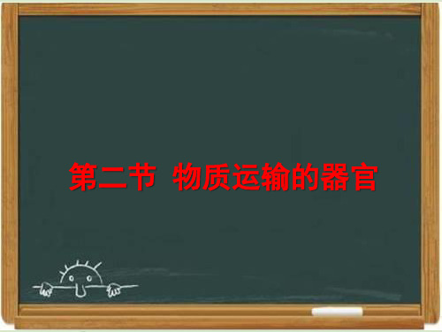 济南版七年级生物下册《物质运输的器官》课件 新版-新版
