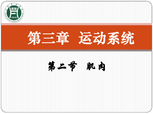 第三章 运动系统肌肉