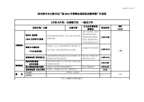 2010年哈尔滨万达广场营销企划工作策划