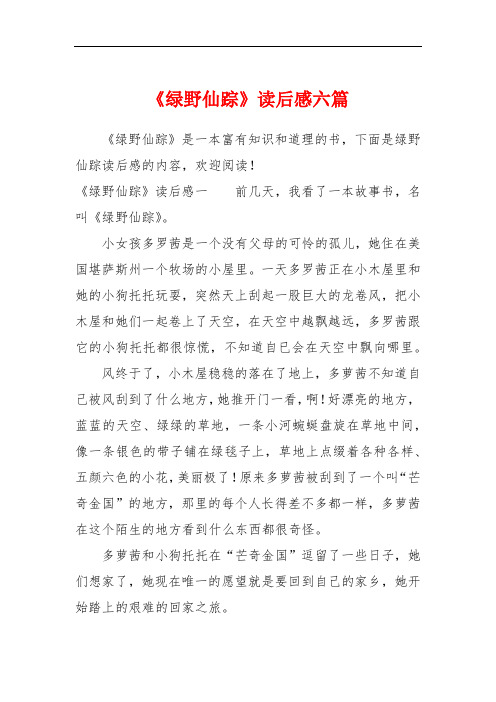 《绿野仙踪》读后感六篇