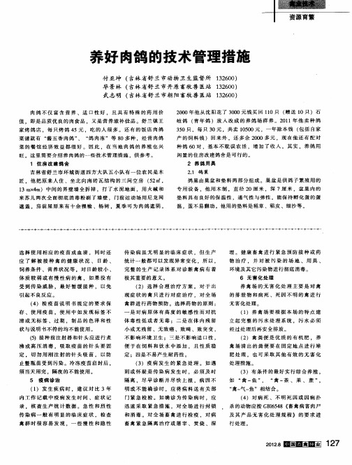 养好肉鸽的技术管理措施