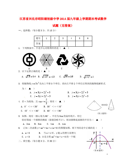 江苏省兴化市昭阳湖初级中学九年级数学上学期期末考试