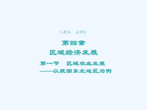 2021_2022学年高中地理第四章区域经济发展第1节区域农业发展__以我国东北地区为例3课件新人教
