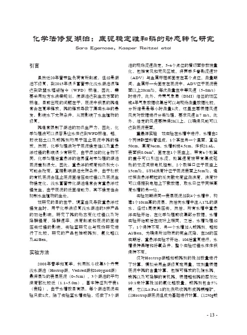 化学法修复湖泊底泥稳定性和磷的动态转化研究