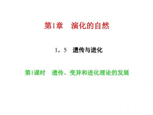 新浙教版九年级科学课件：1.5 遗传与进化 第1课时 遗传、变异和进化理论的发展
