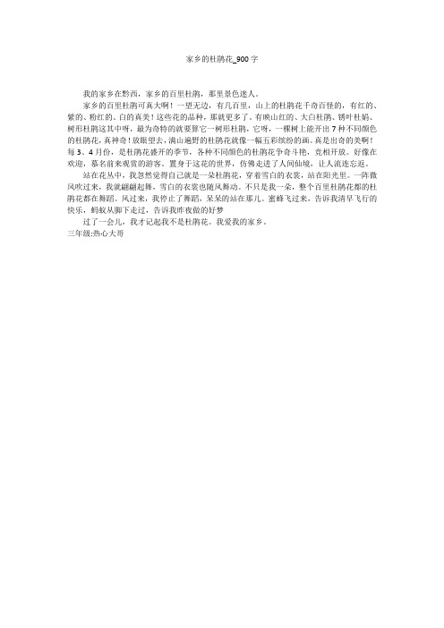 家乡的杜鹃花(900字作文)