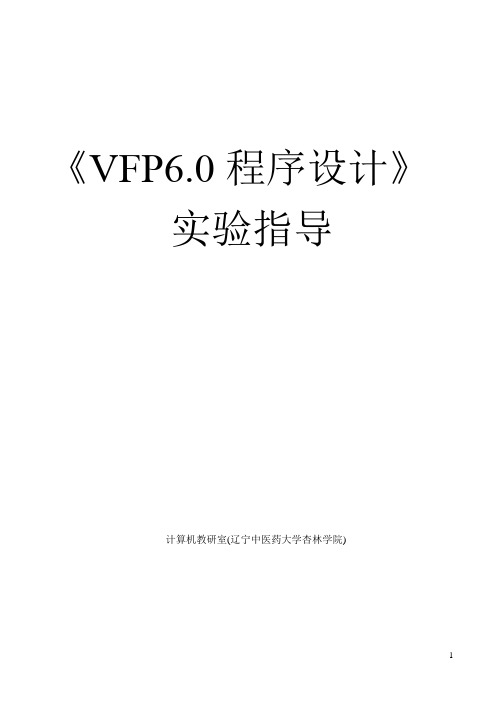 VF程序设计上机实验指导