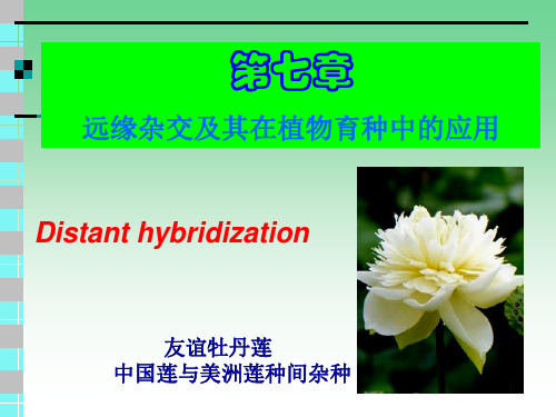 远缘杂交及其在植物育种中的应用