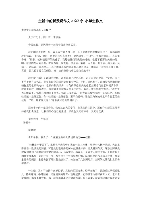 生活中的新发现作文500字_小学生作文
