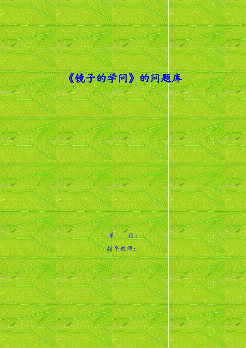 镜子问题库(新)
