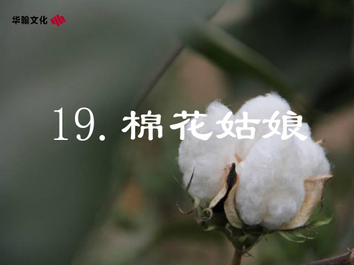 一年级语文下19.棉花姑娘生字精选教学PPT课件