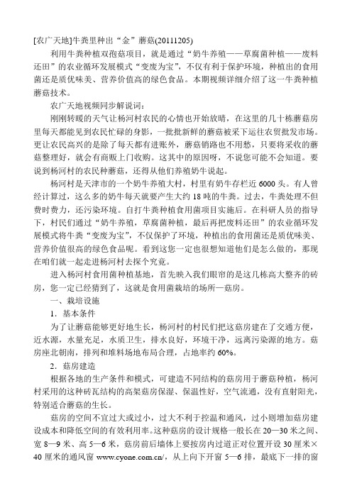 蘑菇养殖