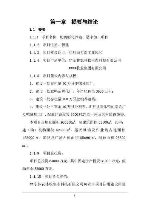 肥鸭孵化养殖、屠宰加工项目可行性研究报告