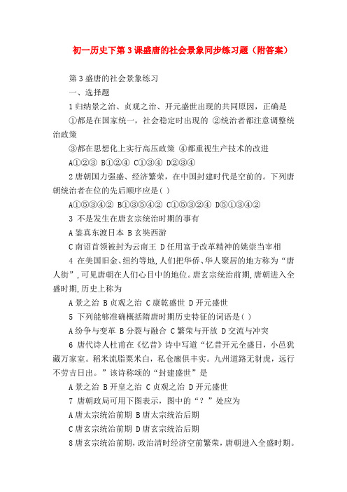【初一历史试题精选】初一历史下第3课盛唐的社会景象同步练习题(附答案)