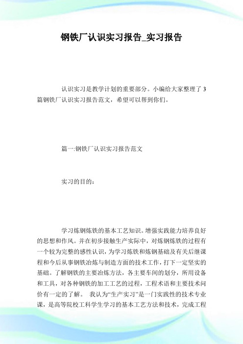 钢铁厂认识实习报告_实习报告.doc