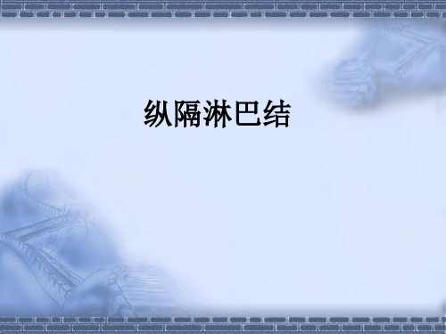 纵隔淋巴结1精品PPT课件