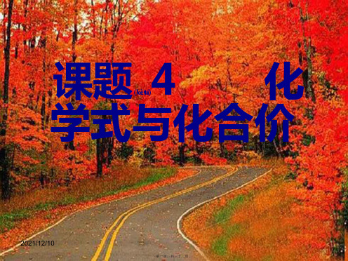 九年级化学上册 第四单元 课题4 化学式与化合价课件 