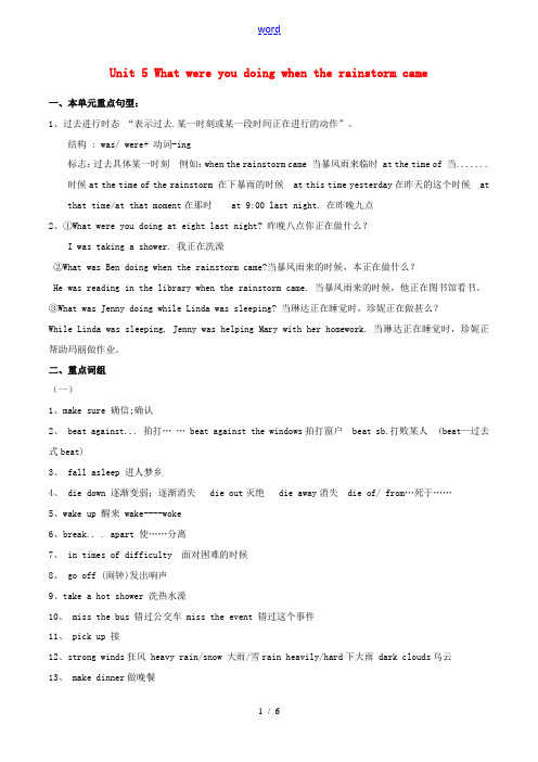 (水滴系列)八年级英语下学期期中复习 Unit 5 What were you doing when