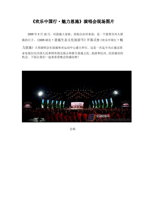 《欢乐中国行·魅力恩施》演唱会现场图片