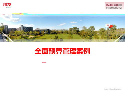 全面预算管理案例分析