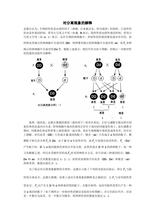 最新高二生物-关于“基因的分离定律”的分析 精品