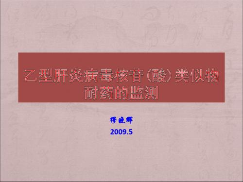 乙型肝炎病毒核苷酸类似物耐药的检测ppt课件