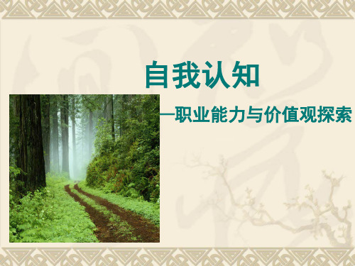 自我认知——职业能力、价值观探索
