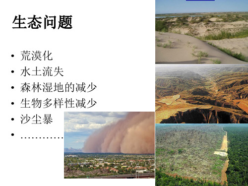 土地荒漠化 一轮复习