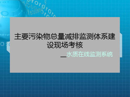 主要污染物总量减排监测体系建设现场考核水
