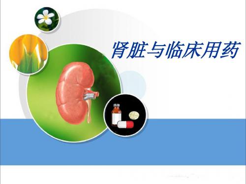 药物与肾脏课件