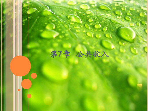 2015公共经济学第7章公共收入