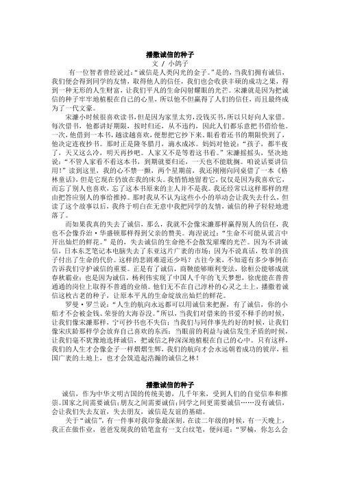 播撒诚信的种子