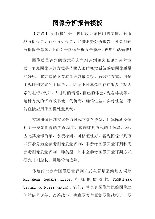 图像分析报告模板