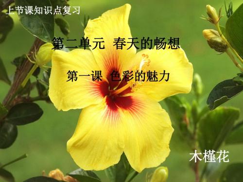 春天的畅想
