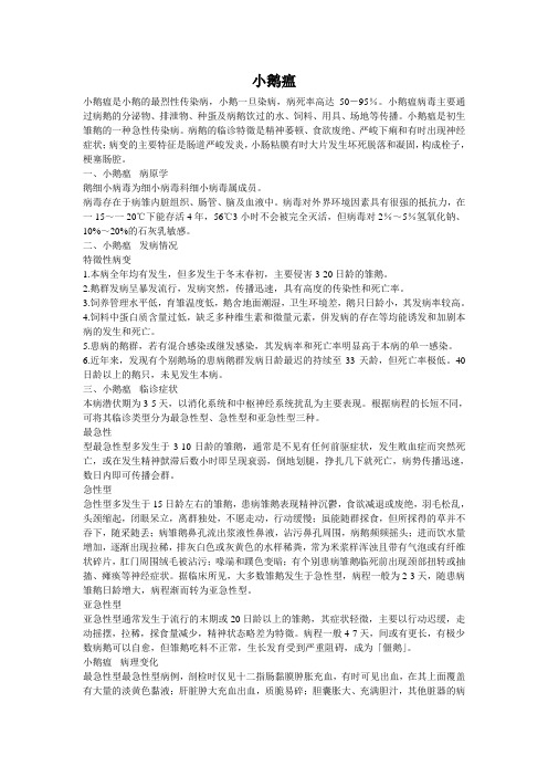 鹅得了小鹅瘟怎么办？