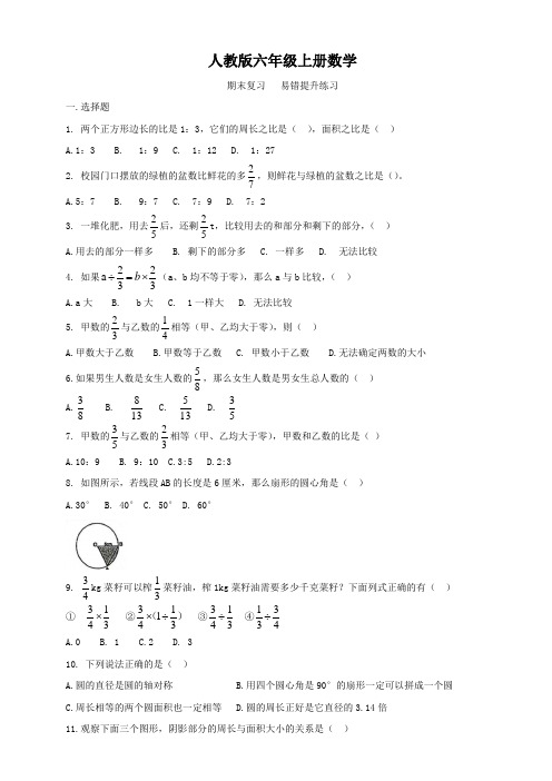 人教版六年级上册数学  期末复习  易错题   专项提升