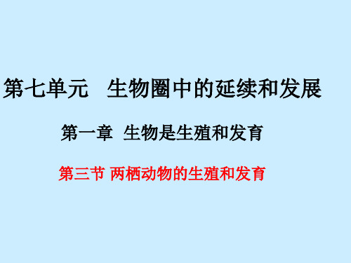 第三节两栖动物的生殖和发育课件(共43张PPT)
