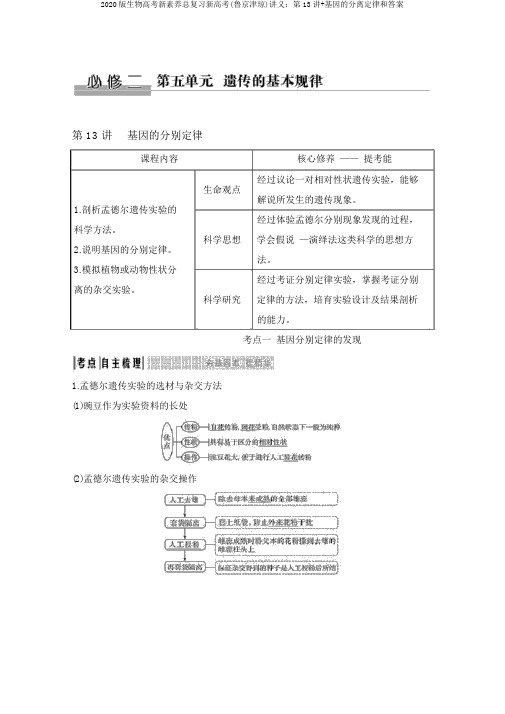 2020版生物高考新素养总复习新高考(鲁京津琼)讲义：第13讲+基因的分离定律和答案