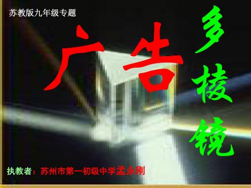 专题：广告多棱镜PPT1 苏教版 (共58张PPT)