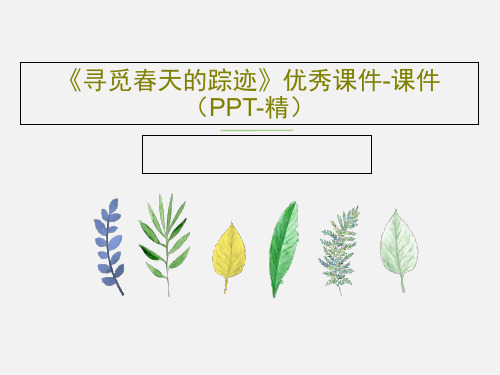 《寻觅春天的踪迹》优秀课件-课件(PPT-精)79页PPT