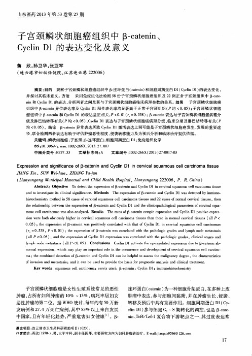 子宫颈鳞状细胞癌组织中β-catenin、CyclinD1的表达变化及意义