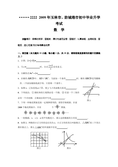 2009广西玉林防城港中考数学试题