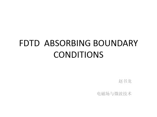 FDTD