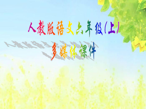 新课标人教版小学六年级语文上册：15这片土地是神圣的课件PPT、优质教学课件
