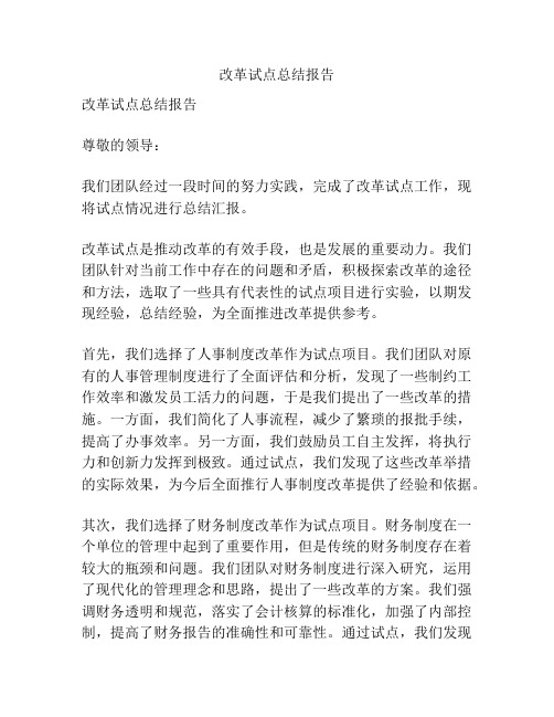 改革试点总结报告