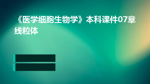 2024版《医学细胞生物学》本科课件07章线粒体